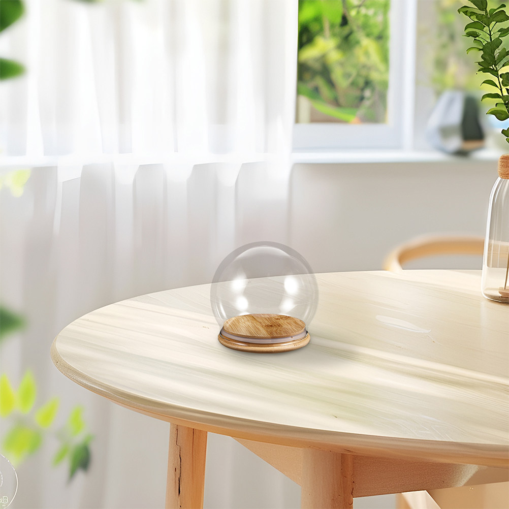 2Pcs Clear Glass Dome Display  - Plastic Dome Clear ulasan dan harga