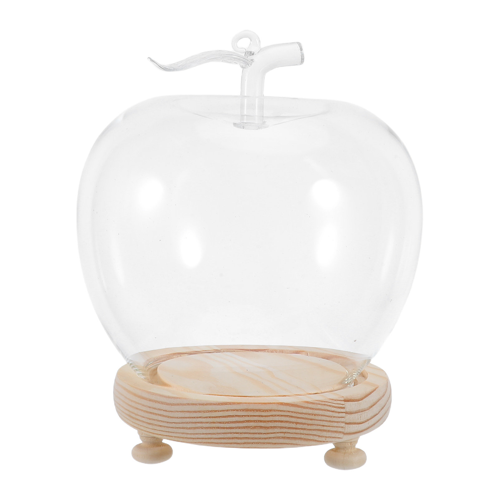 1Set Glass Dome Cloche Shaped  - Plastic Dome Clear ulasan dan harga