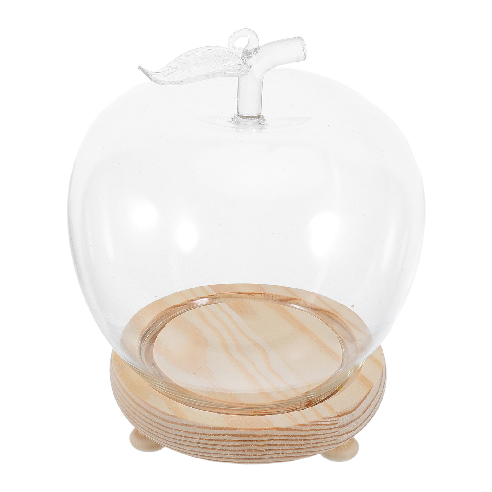1Set Glass Dome Cloche Shaped  - Plastic Dome Clear ulasan dan harga