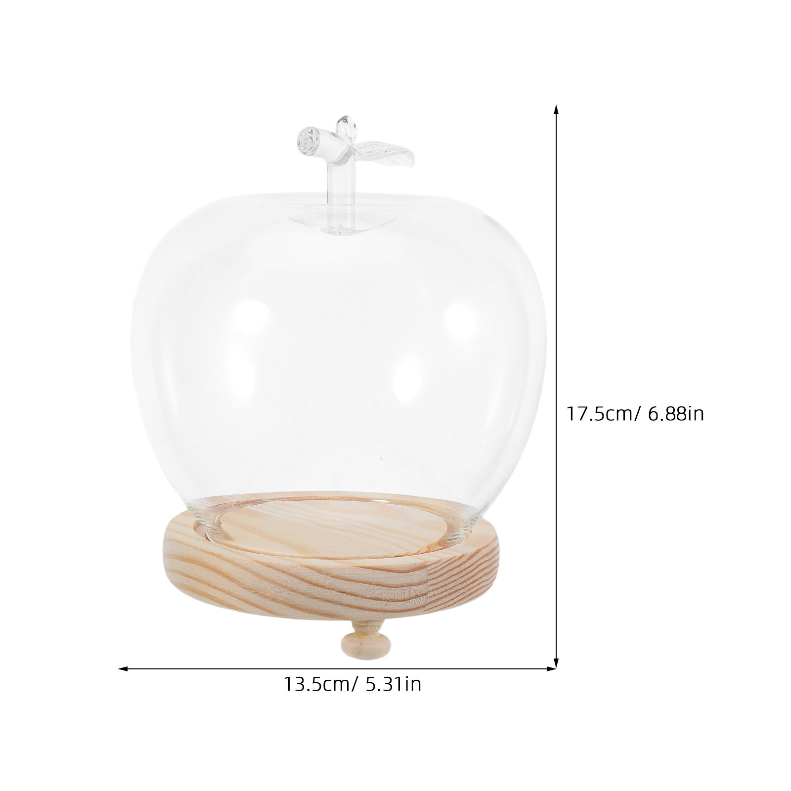 1Set Glass Dome Cloche Shaped  - Plastic Dome Clear ulasan dan harga