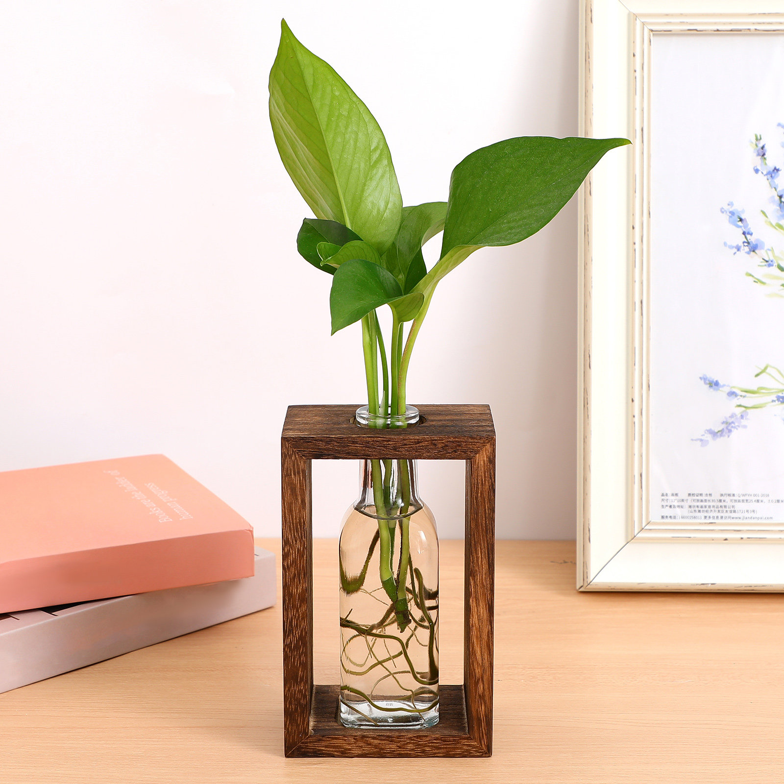 1Set Wooden Hydroponic Plant P - Propagation Station Vase ulasan dan harga
