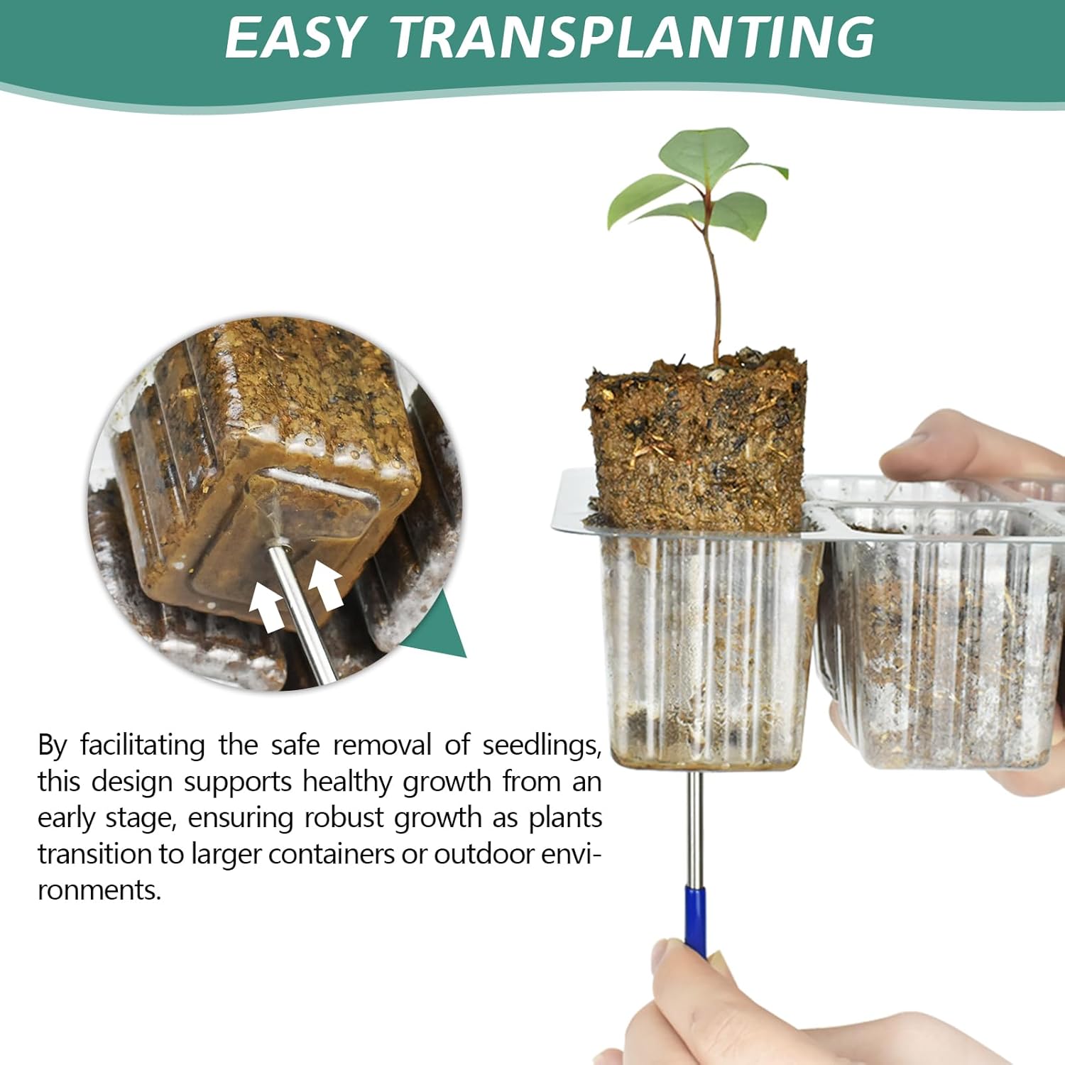 Elevated Seedling Starter Tray - Humidity Dome Kit ulasan dan harga