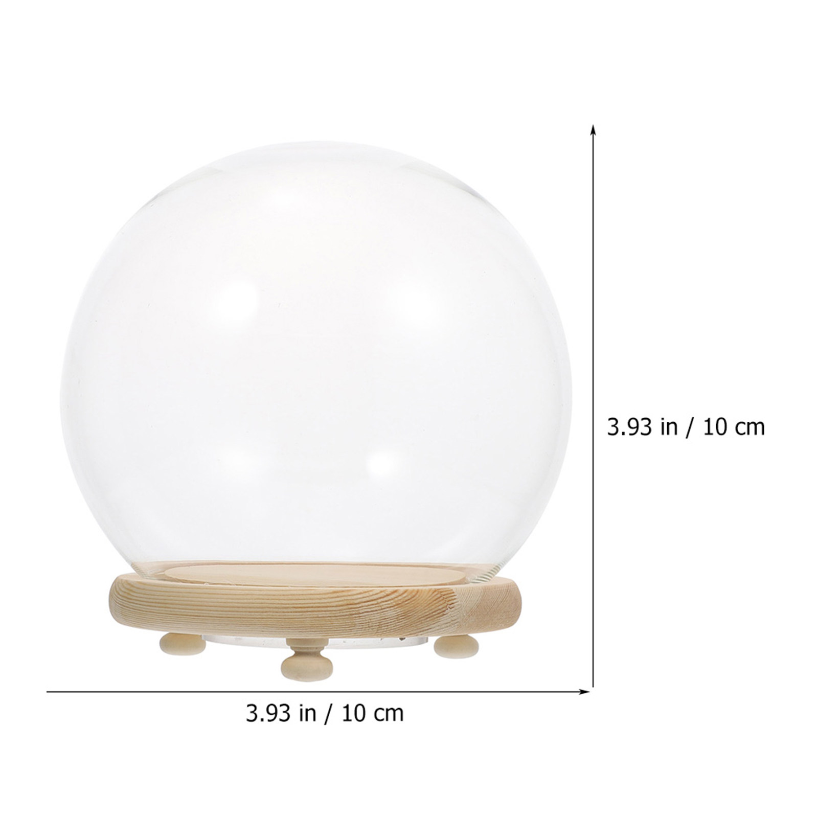 Clear Glass Dome Preserved Flo - Plastic Dome Clear ulasan dan harga